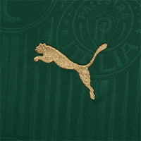 Camisa Palmeiras I Home Torcedor 24/25
