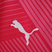 Camisa Cerro Porteño Edição Especial 22/23 - Puma Torcedor Masculina