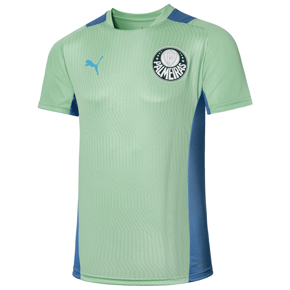 Camisa Palmeiras Treino 22/23 - Puma Torcedor Masculina - Verde