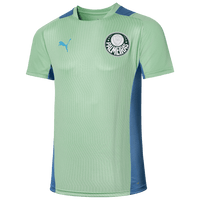 Camisa Palmeiras Treino 22/23 - Puma Torcedor Masculina - Verde