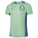 Camisa Palmeiras Treino 22/23 - Puma Torcedor Masculina - Verde